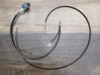 Horn relay and wiring for use with Domino handlebar switches.