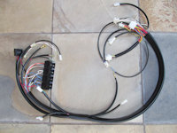Main harness for the 1000 S (Series 1).