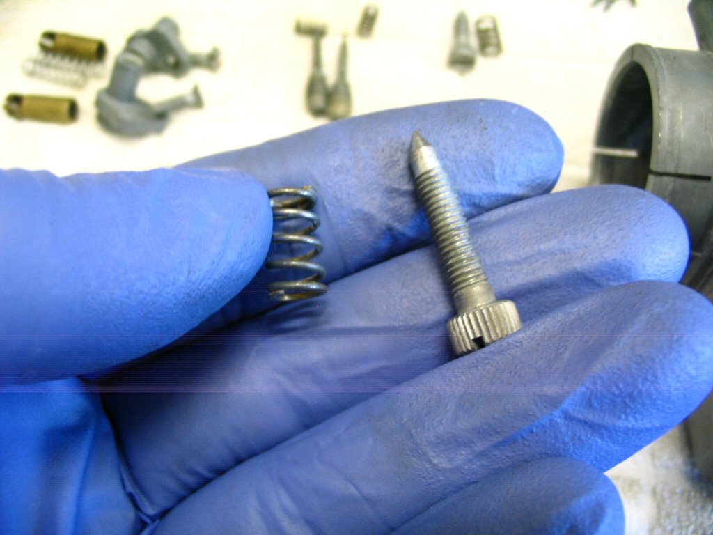 The idle speed screw and spring.