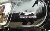 Moto Guzzi fuel tank decal and pin striping.